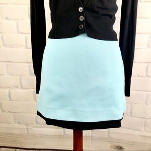 D V F : Blue “Elley” Color-block Mini Skirt